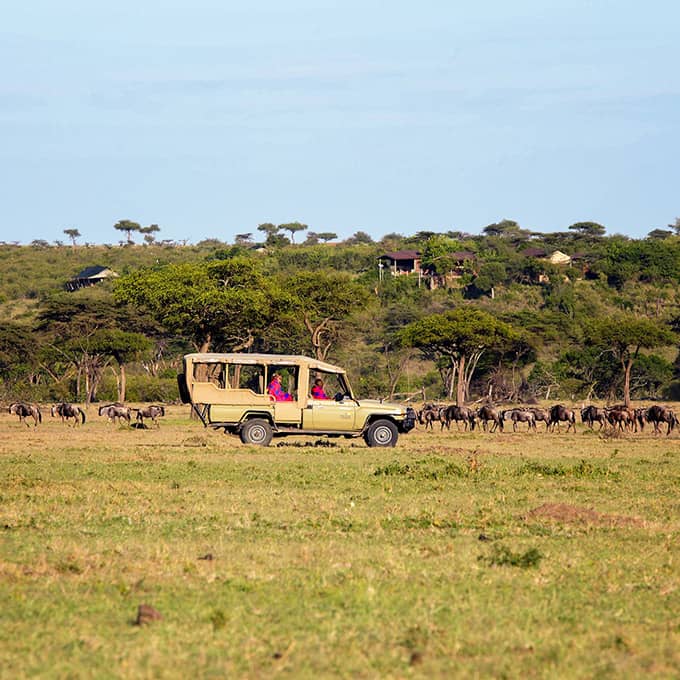 Game drives are included in the accommodation rate at Basecamp Eagle View in Naboisho