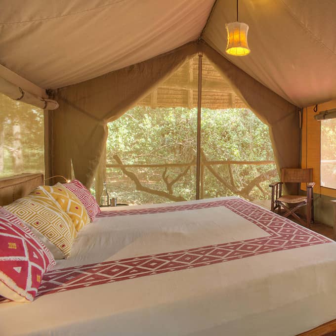 Basecamp Masai Mara offers luxury tented accommodation