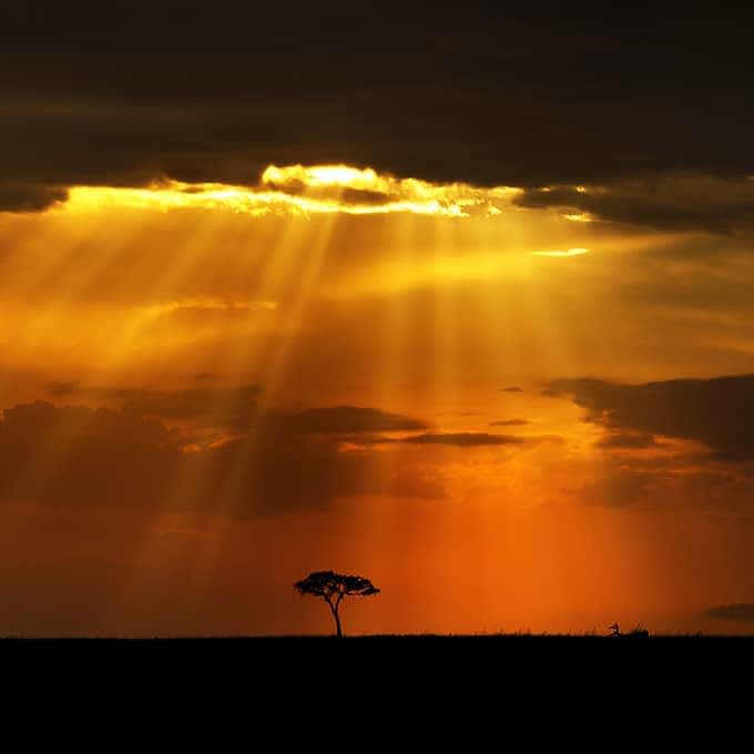 Glorious sunset in the Masai Mara, Kenya