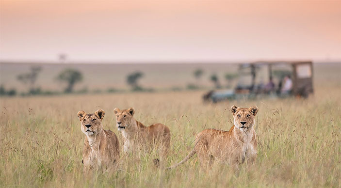Governors Masai Mara Stay 4 Pay 3 special offer