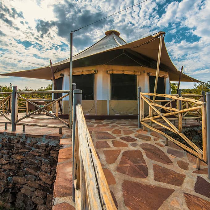 Enjoy a luxury safari in Masai Mara at Ol Seki hemingway's Lodge