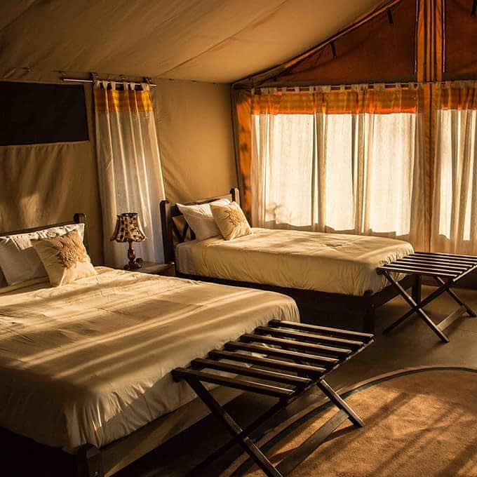Masai Mara luxury safari at Porini Cheetah Camp