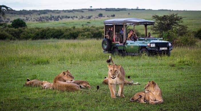 Masai Mara special offer - stay 4 pay 3 at Mara Plains and Mara Exepedition camps