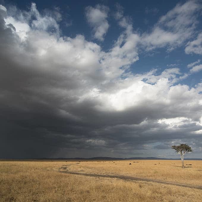 Storm clouds rolling into the Masai Mara in wet season
