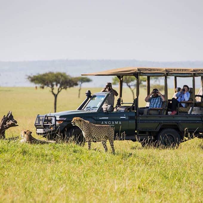 Game drive - information about Masai Mara