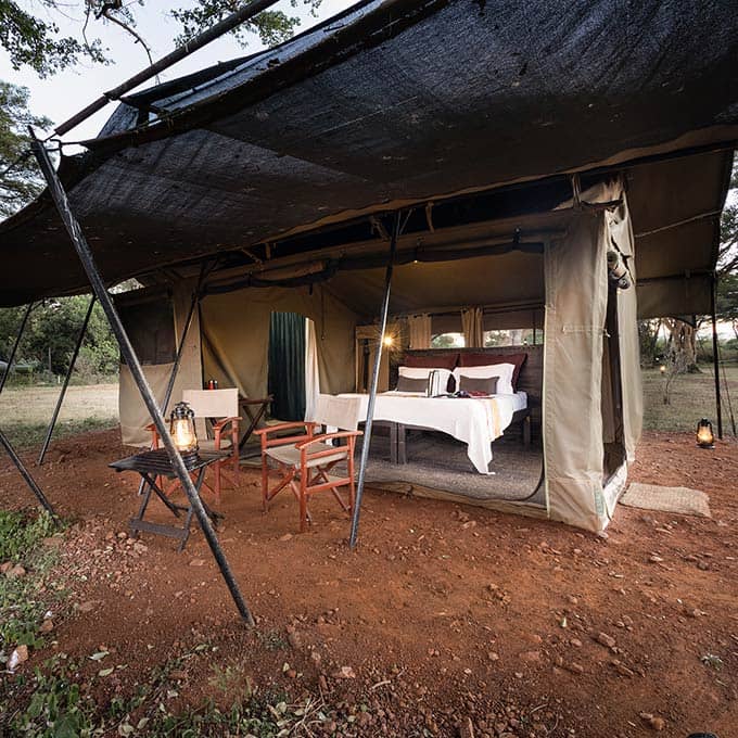 Experience a budget Masai Mara safari at Basecamp Adventure