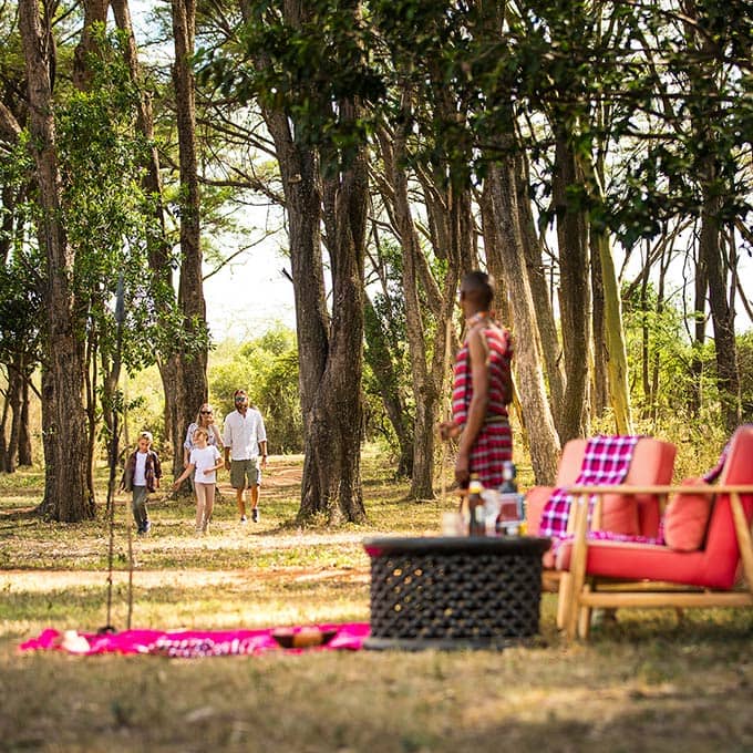 Experience a thrilling bush picnic at Basecamp Adventure