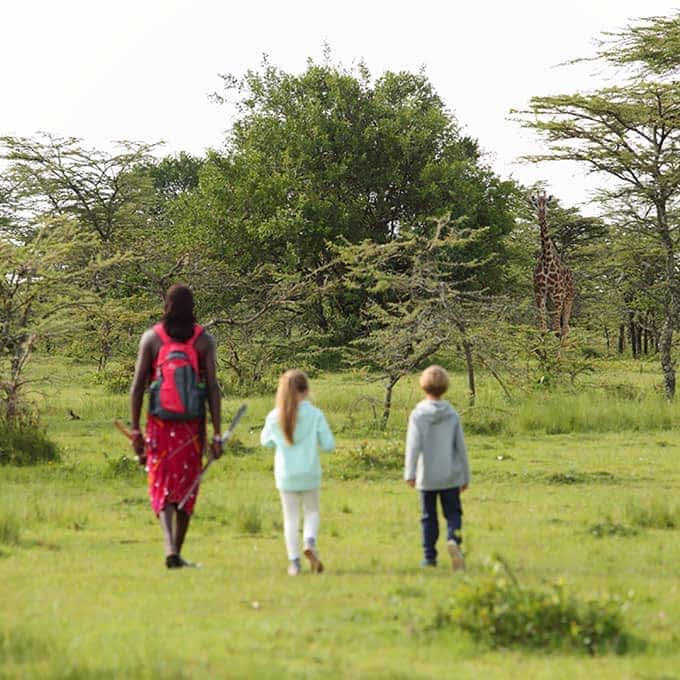 Bush walk in Masai Mara - safari information Kenya