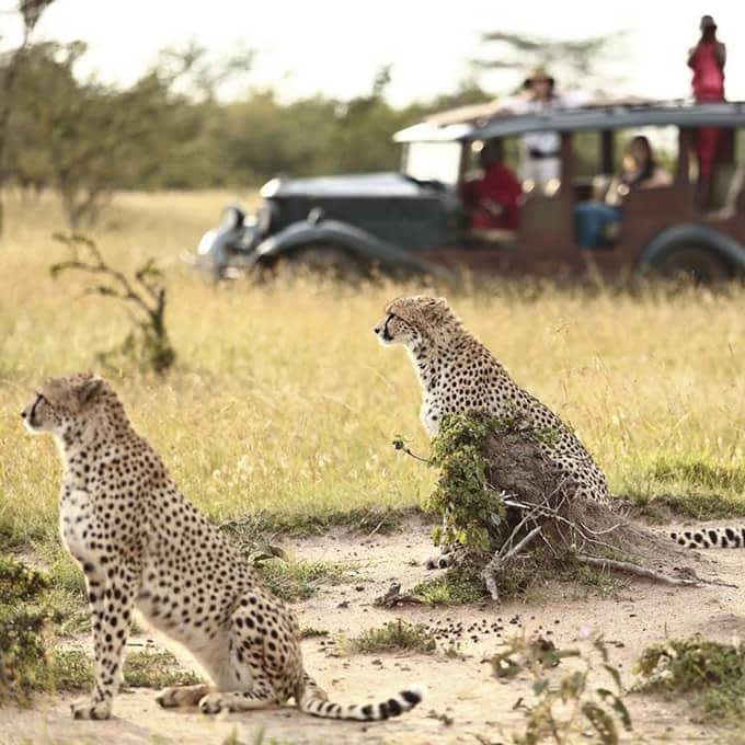 Olderkesi Mara Southeast Conservancy information