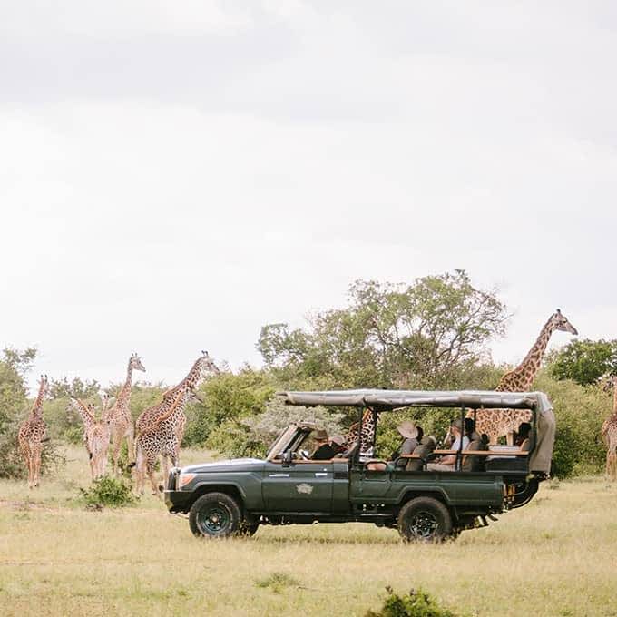 Game drive in Olderkesi Conservancy, Masai Mara