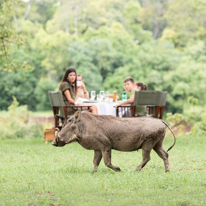 Governors Camp Masai Mara