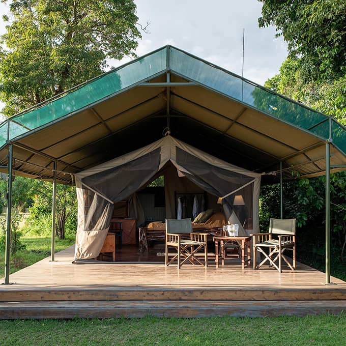 Classic tented safari at Governors Camp in the Masai Mara