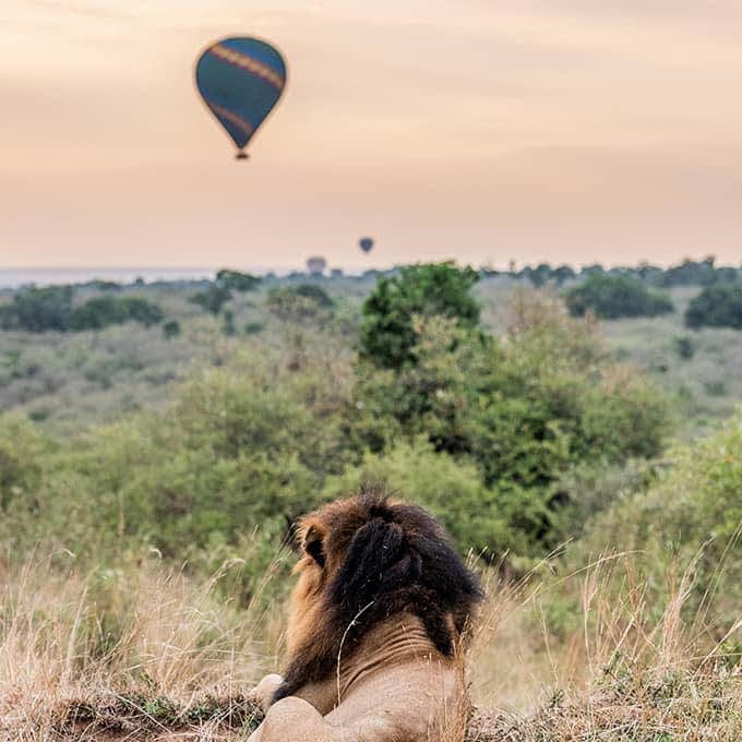 Hot air balloon flight in Masai Mara Naboisho Conservancy