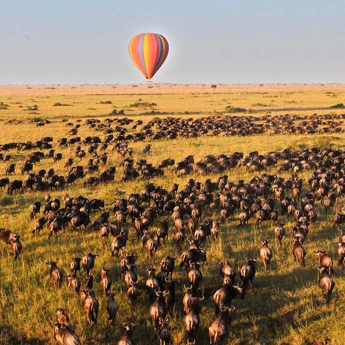 A hot-air balloon flight in the Masai Mara