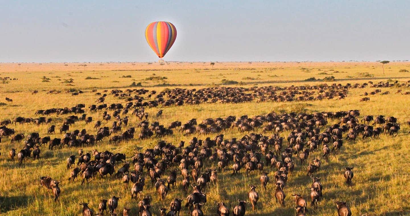 Hot-air balloon flights in the Masai Mara - Experience the Masai Mara plains from above