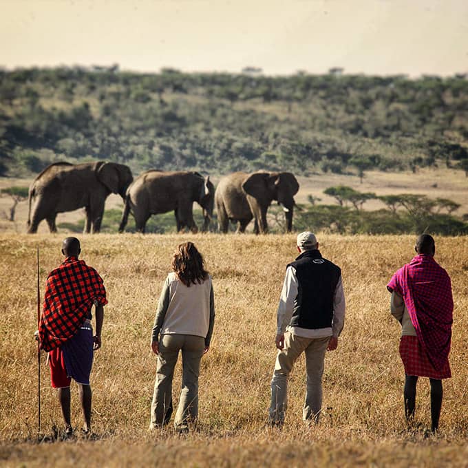 Kicheche Valley Camp Naboisho