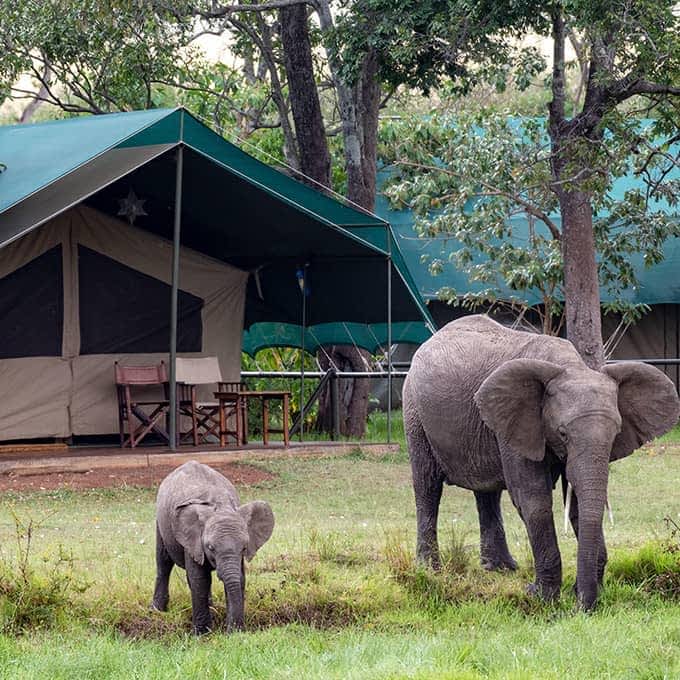 Unforgettable memories at Little Governors' Camp in the Masai Mara