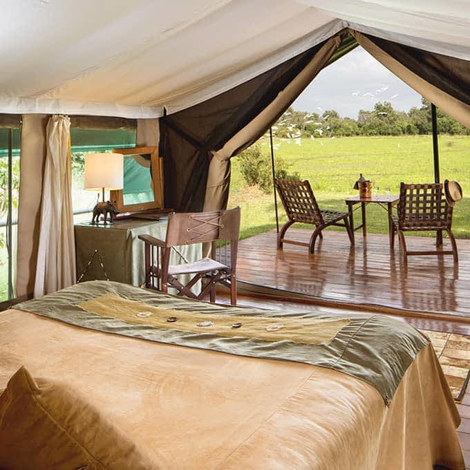 Enjoy a luxury safari in the Masai Mara at Little Governors' Camp