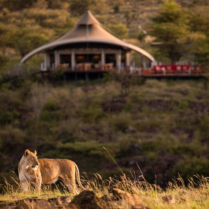 Mahali Mzuri Masai Mara