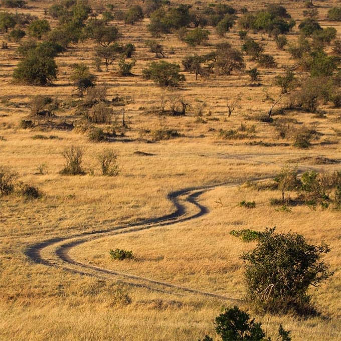 Mara Plains landscape in Kenya