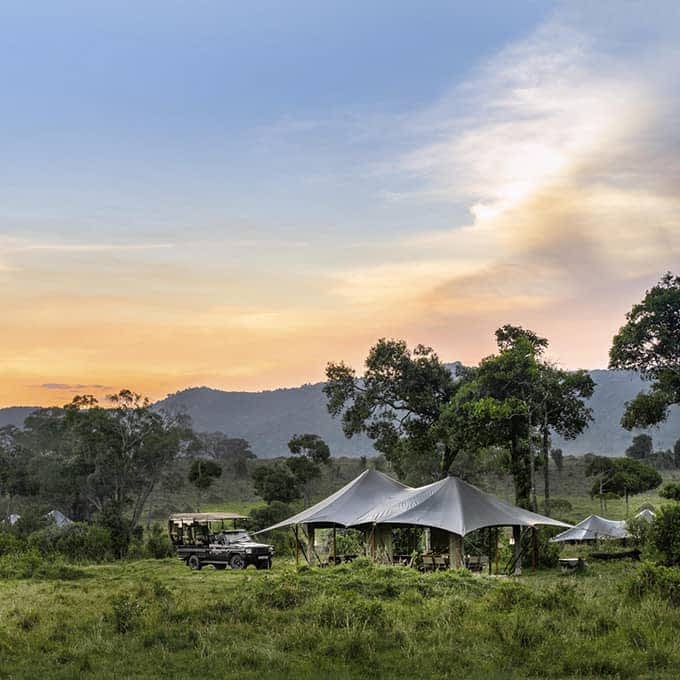 The Masai Mara conservancies offer a wide range of luxury safari lodge options