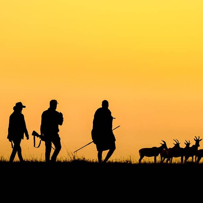 Enjoy a bush walk when staying in a Masai Mara conservancy