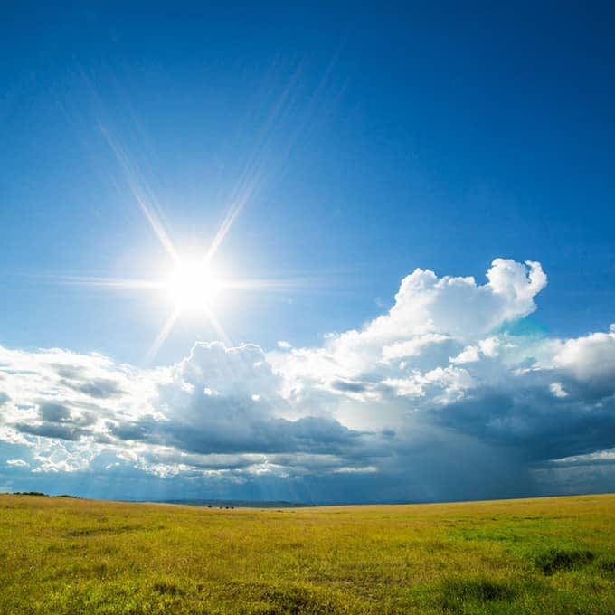 Masai Mara landscape: Olare Motorogi