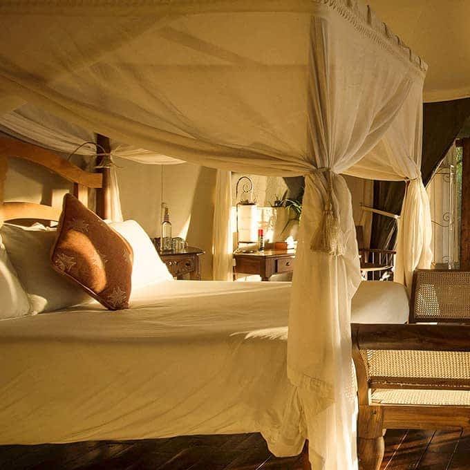 Masai Mara luxury safari at Ngare Serian