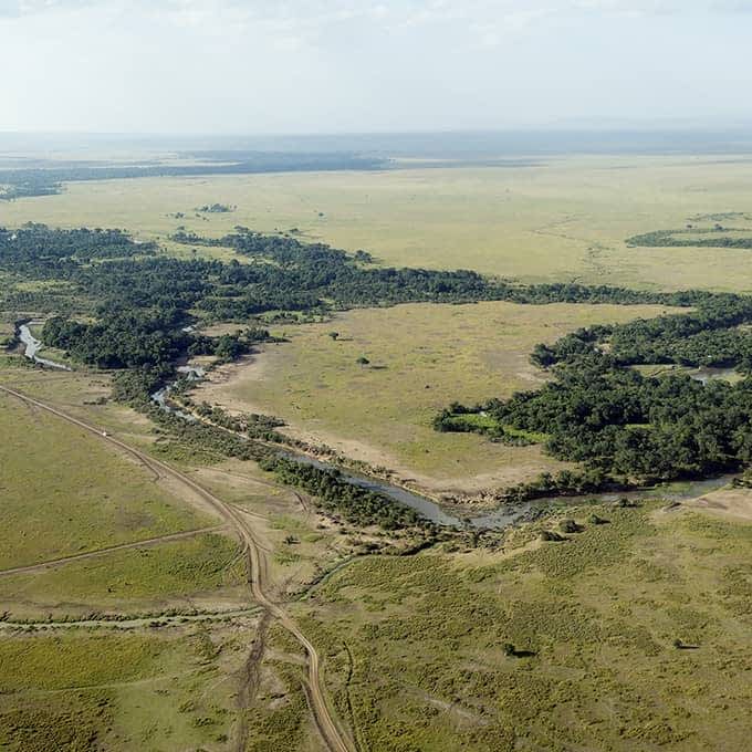 Aerial view of a Masai Mara riverine forest