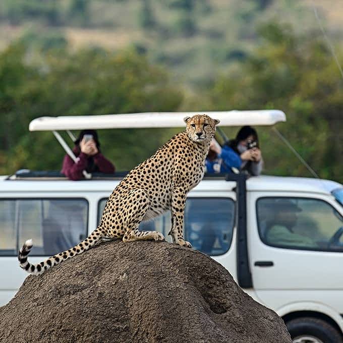 Masai Mara information: safari in Kenya