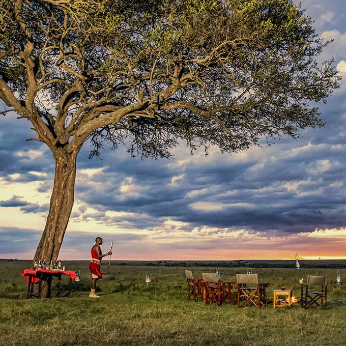Experience a true Masai Mara safari at Offbeat Mara Camp