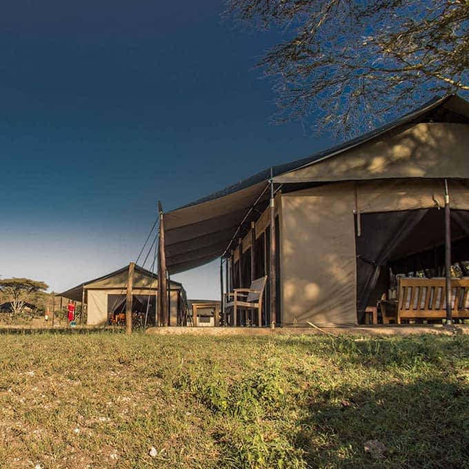 Masai Mara safari at Porini Cheetah Camp
