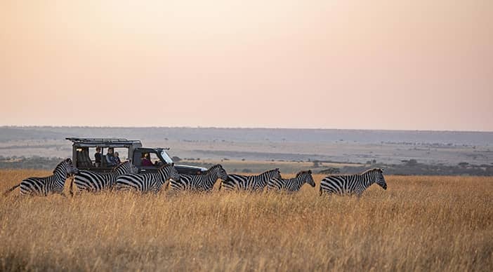 Private family safari special at Offbeat Mara Camp