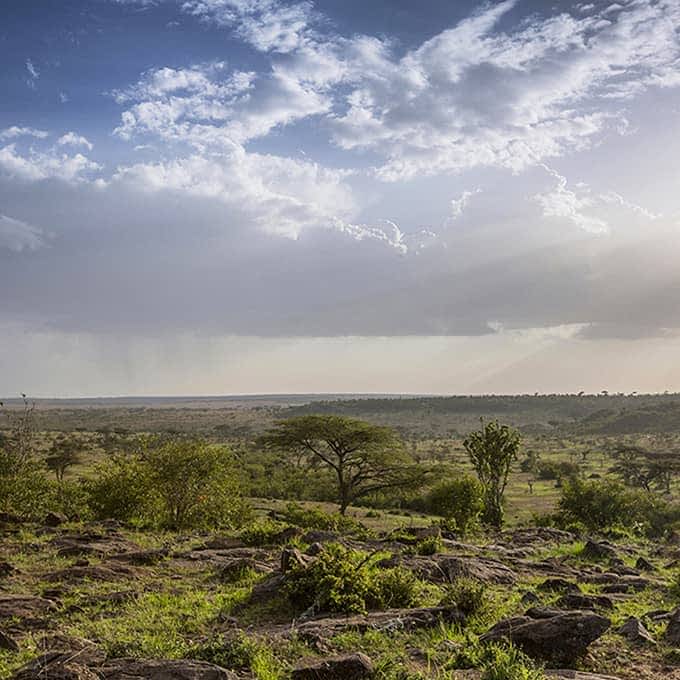 Naboisho Conservancy landscape