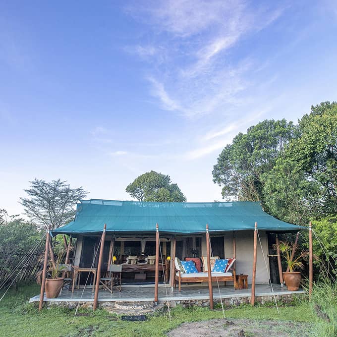 Enjoy a luxury tented safari at Offbeat Mara Camp