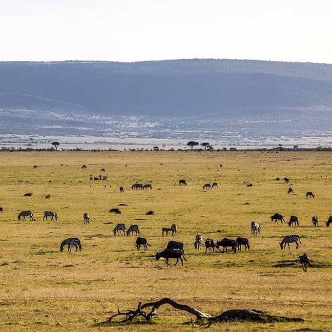 Ol Kinyei Conservancy landscape