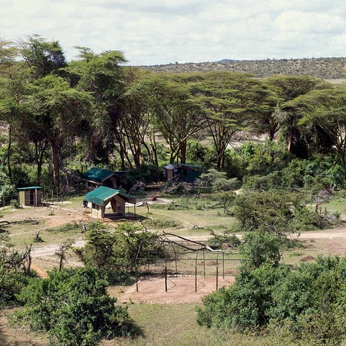 Porini Cheetah Camp in Ol Kinyei Conservancy