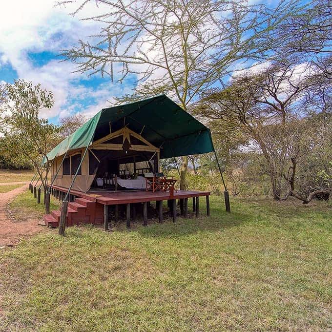 Porini Mara Camp in Ol Kinyei Conservancy