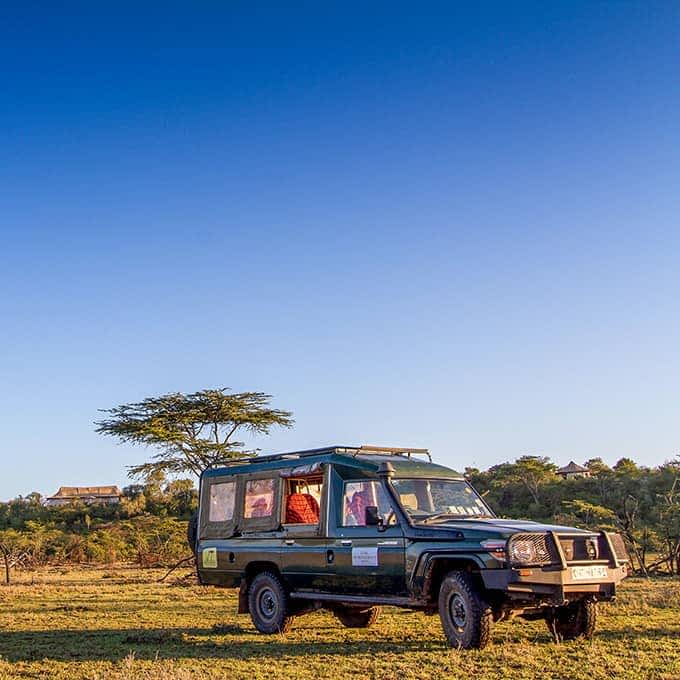 Experience a safari game drive in Masai Mara Naboisho Conservancy