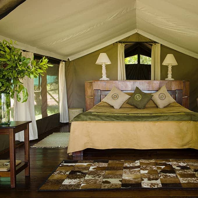 Tented lodge safari at Little Governors' Camp in Kenya