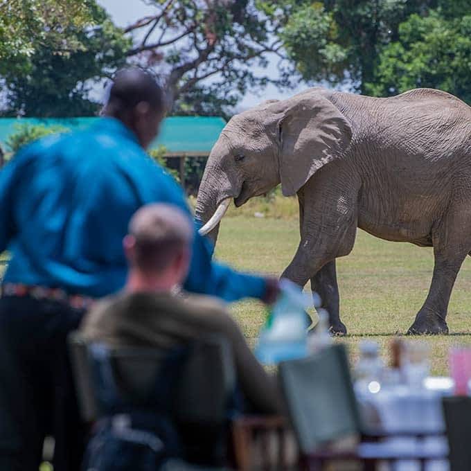 Incredible wildlife encounters in Masai Mara National Reserve